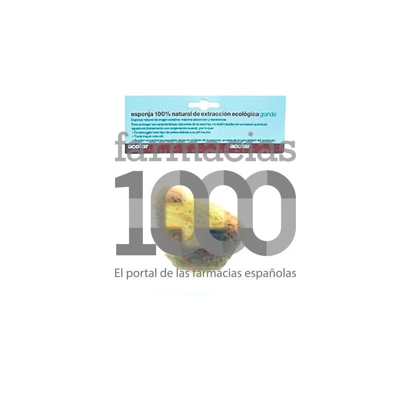 Acofar Esponja Natural Talla Grande 1ud 3 Acofar Esponja Natural Talla Grande 1ud