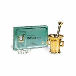 ACTIVECOMPLEX BILOBA FORTE 60 COMP