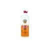 Klorane Petit Junior Champú Desenredante Equilibrante 500ml -Arkopharma Tienda de ventas klorane petit junior champu desenredante equilibrante 500ml